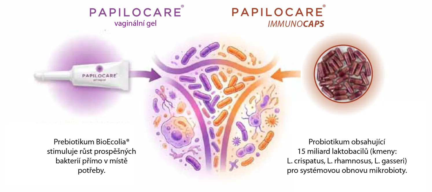 Infografika prebiotika a probiotika pro obnovu mikrobioty