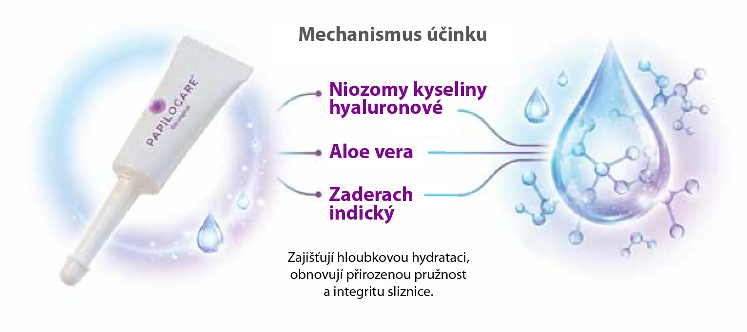 Mechanismus účinku s niosomy kyseliny hyaluronové, aloe vera a zaderachem indickým
