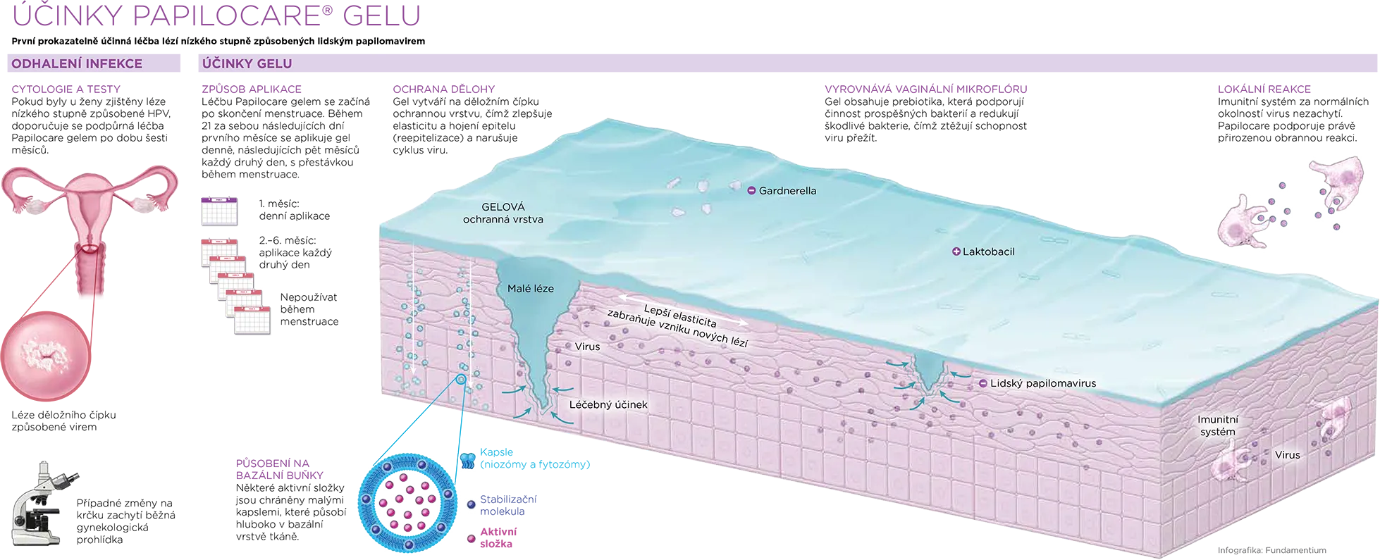 Infografika Papilocare